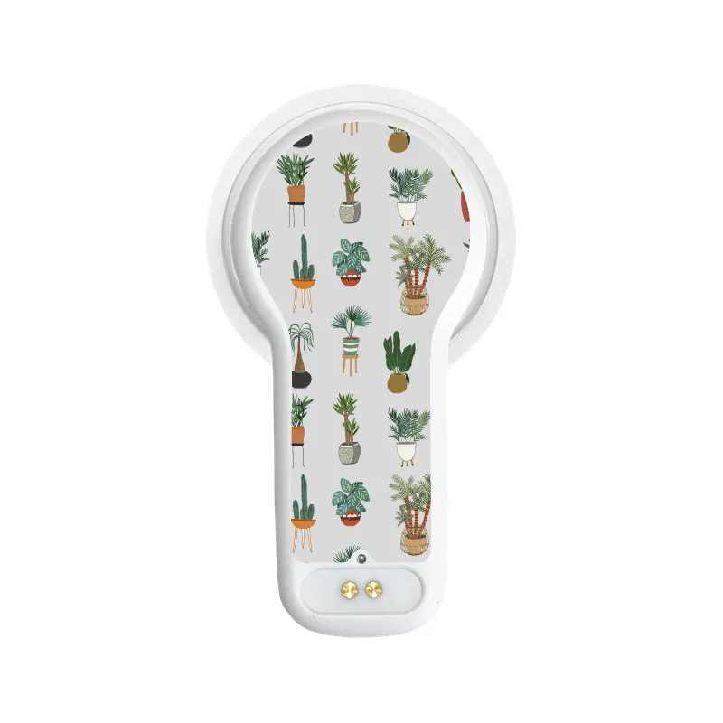 Miao Miao 2 Sticker (Super Succulents)