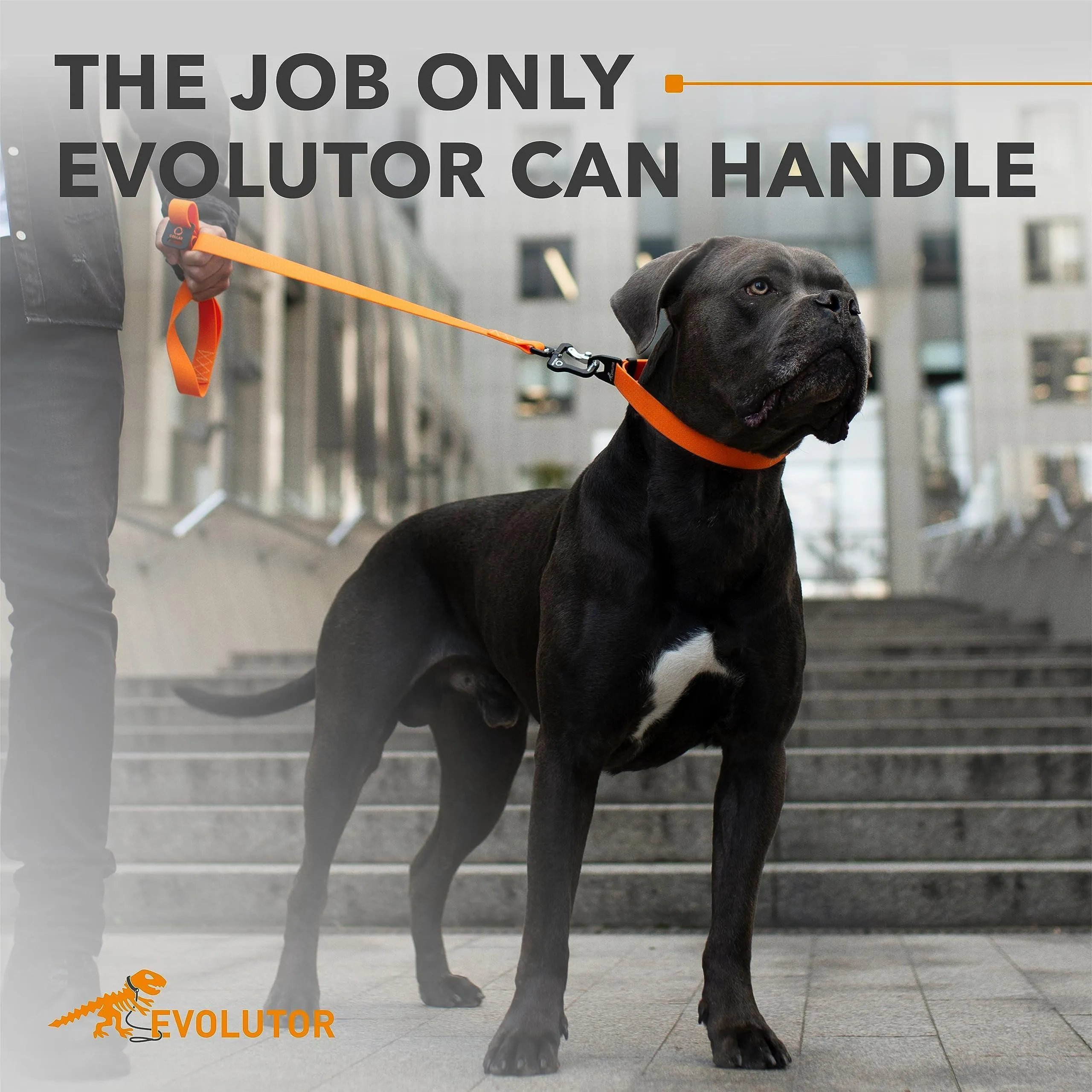Orange Evolutor Extra Heavy Duty Dog Leash 10 Ft  Durable Leash for Large Dogs
