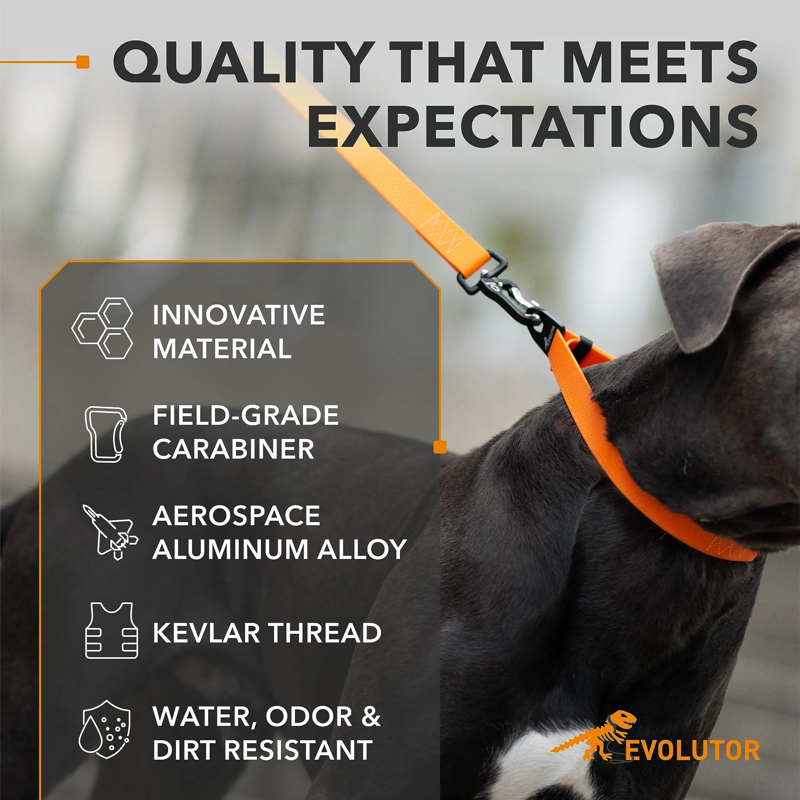 Orange Evolutor Extra Heavy Duty Dog Leash 10 Ft  Durable Leash for Large Dogs